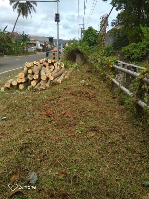 jual tanah pinggir pantai bayah banten