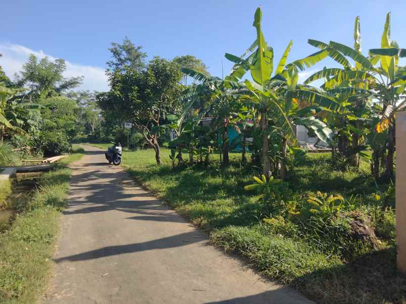lokasi pinggir jl akses mobil lingkungan penduduk