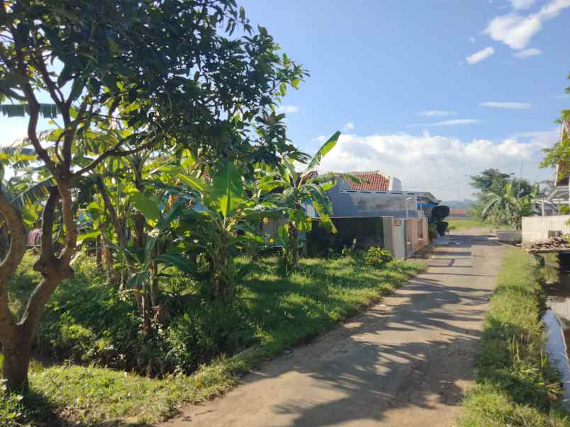 lokasi pinggir jl akses mobil lingkungan penduduk