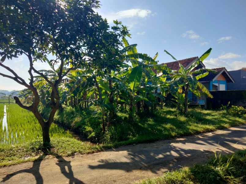 lokasi pinggir jl akses mobil lingkungan penduduk