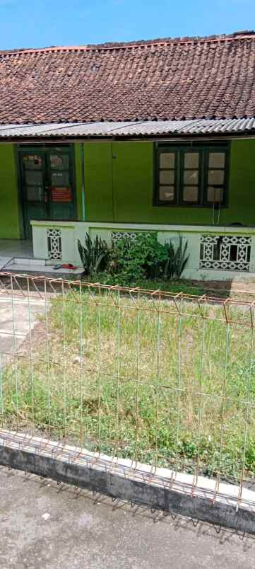 rumah jadul buat cafe atau kos berkelompok