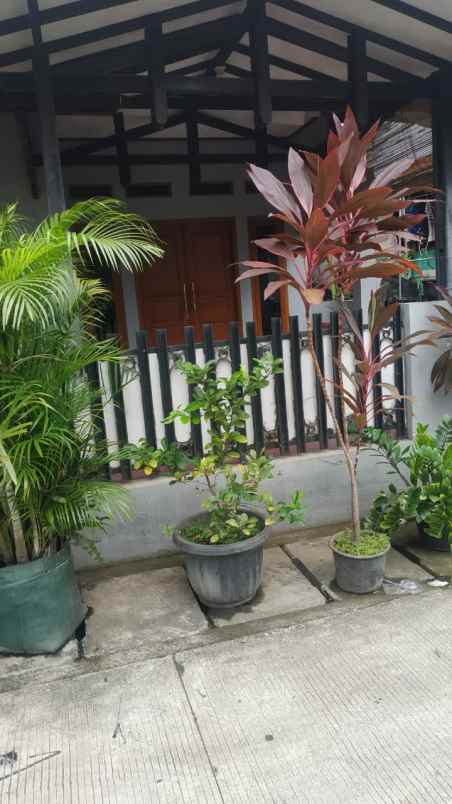 rumah jl pelita