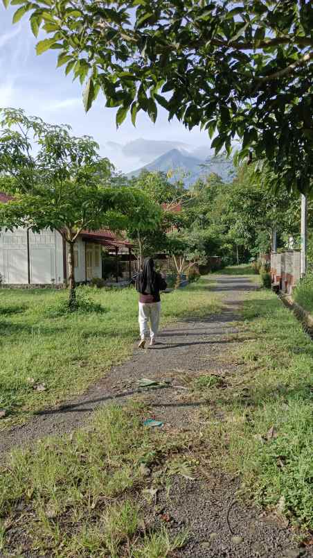 rumah nuansa villa dengan udara sejuk