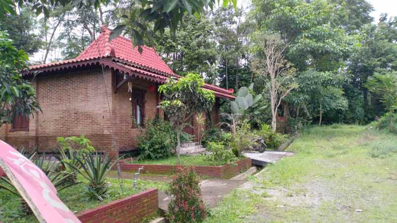 rumah nuansa villa dengan udara sejuk