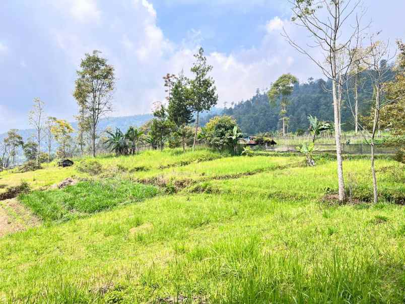 tanah 1 hektar view gunung lawu ngargoyoso karanganyar