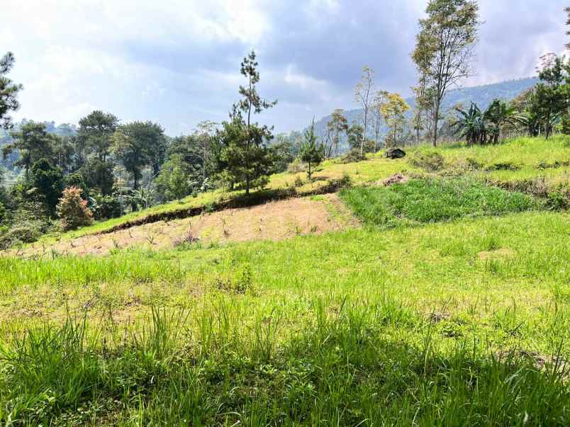 tanah 1 hektar view gunung lawu ngargoyoso karanganyar