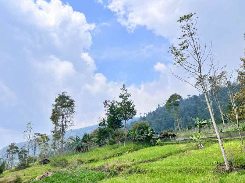 tanah 1 hektar view gunung lawu ngargoyoso karanganyar