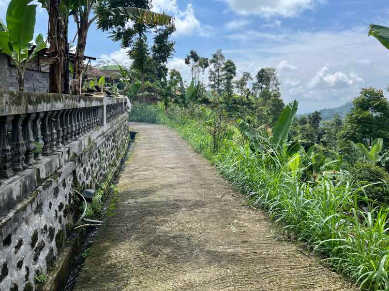 tanah 200 juta timur jembatan kaca kemuning