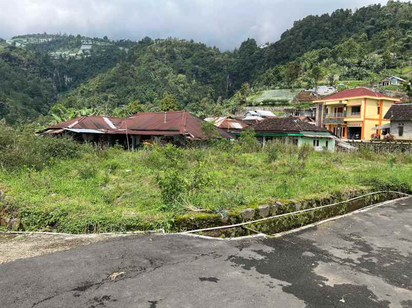 tanah 200 juta timur jembatan kaca kemuning