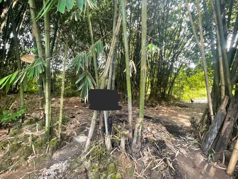 tanah 3000 m di cisoka dekat tol balaraja barat