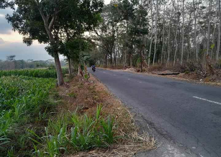 tanah ada sumber air 2000m2 diponggok klaten 1 1 m