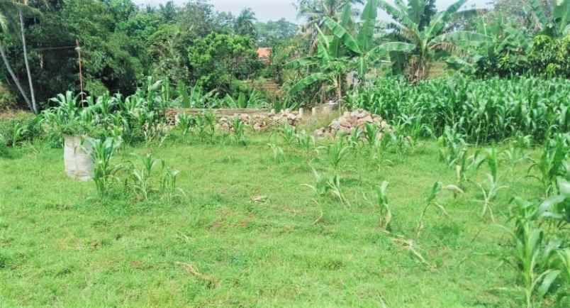 tanah cocok untuk usaha mojogedang karanganyar