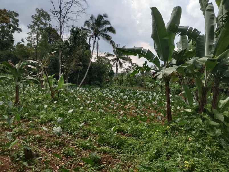 tanah darat datar ciater subang jawa barat