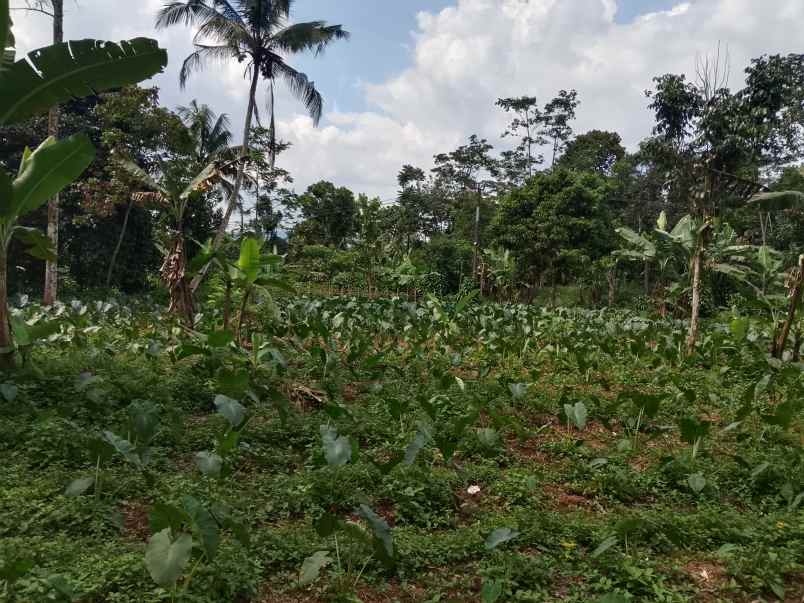 tanah darat datar ciater subang jawa barat