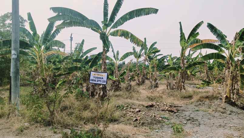 tanah hook 2 muka lokasi berkembang rowosari meteseh