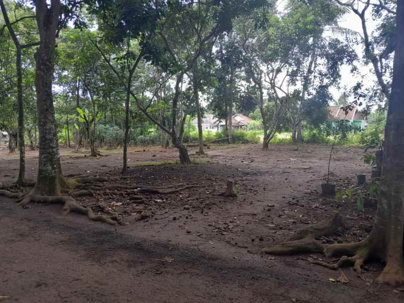 tanah hook pinggir jalan dekat rsud provinsi banten