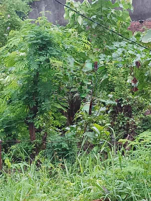 tanah kavling gunung anyar mas siap bangun