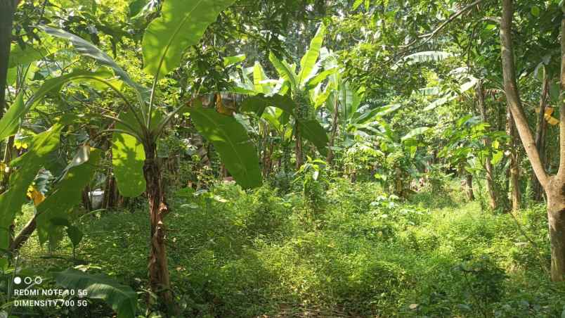 tanah kavling murah shm di cimuning bekasi