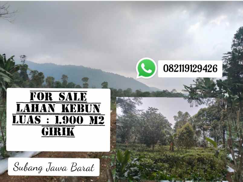 tanah kebun cipancar subang jawa barat