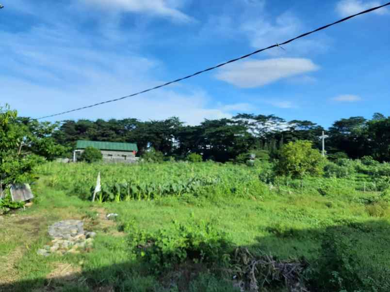 tanah kebun rata dan istimewa