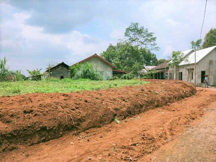 tanah kemuning ngargoyoso