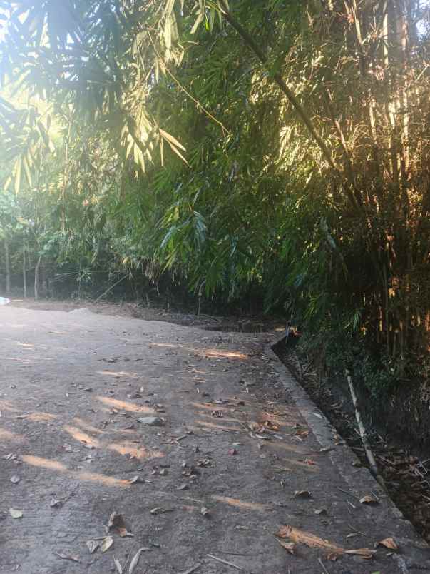 tanah luas 1 505 m di bantul harga rp510 juta