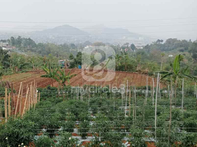 tanah luas cocok untuk investasi di cilame