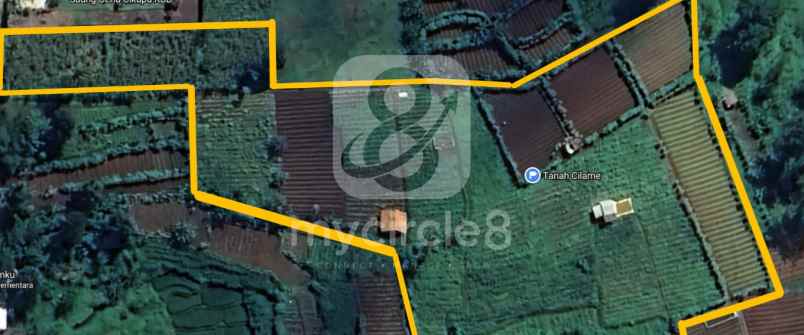 tanah luas cocok untuk investasi di cilame