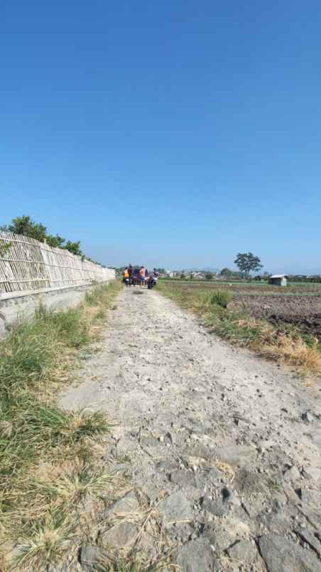 tanah luas strategis dengan udara asri di kota batu