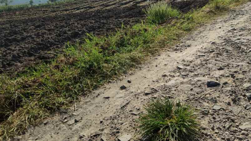 tanah luas strategis dengan udara asri di kota batu