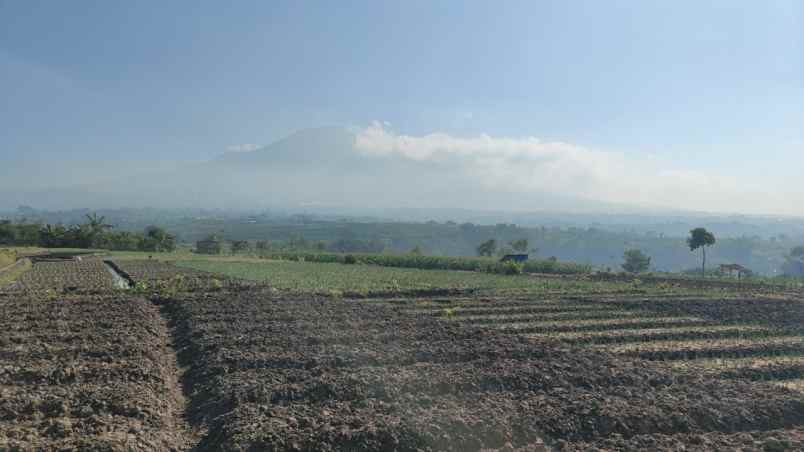 tanah luas strategis dengan udara asri di kota batu