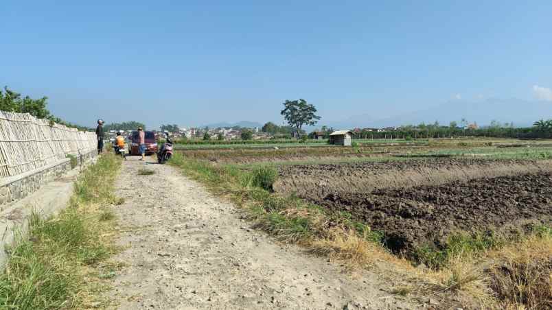 tanah luas strategis dengan udara asri di kota batu