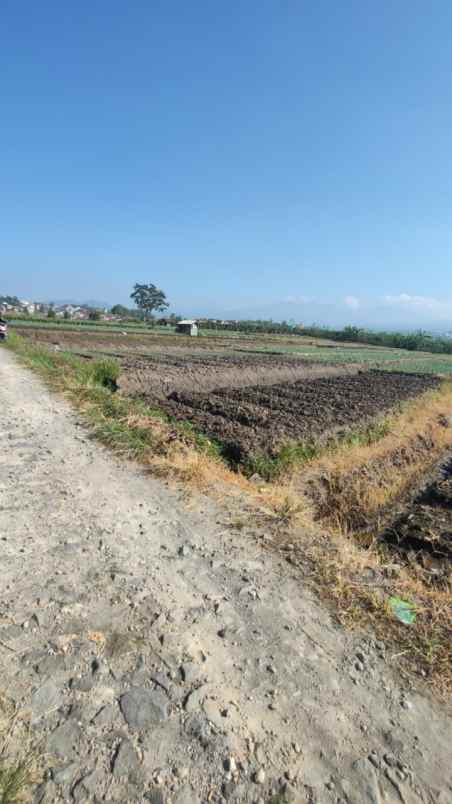 tanah luas strategis dengan udara asri di kota batu