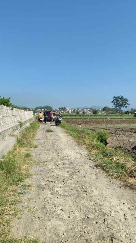 tanah luas strategis dengan udara asri di kota batu