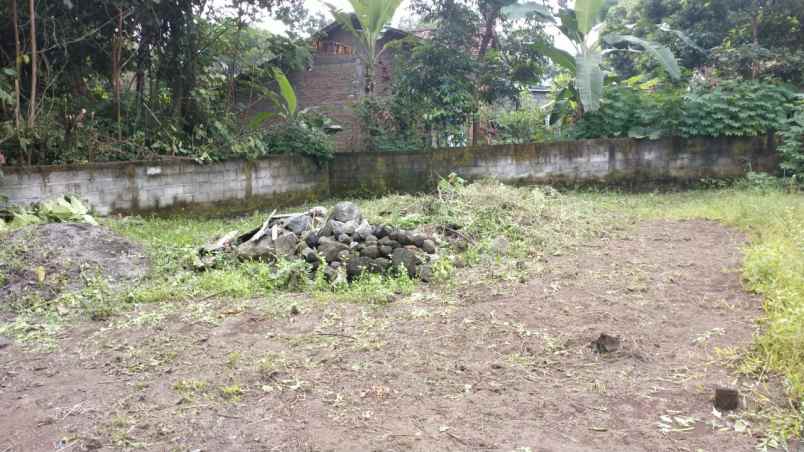 tanah margomulyo seyegan 200 meter jl kebon agung