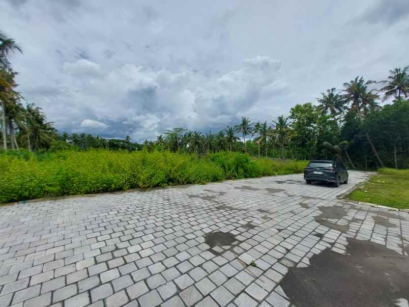 tanah murah kulonprogo dijual cepat harga 130 jt