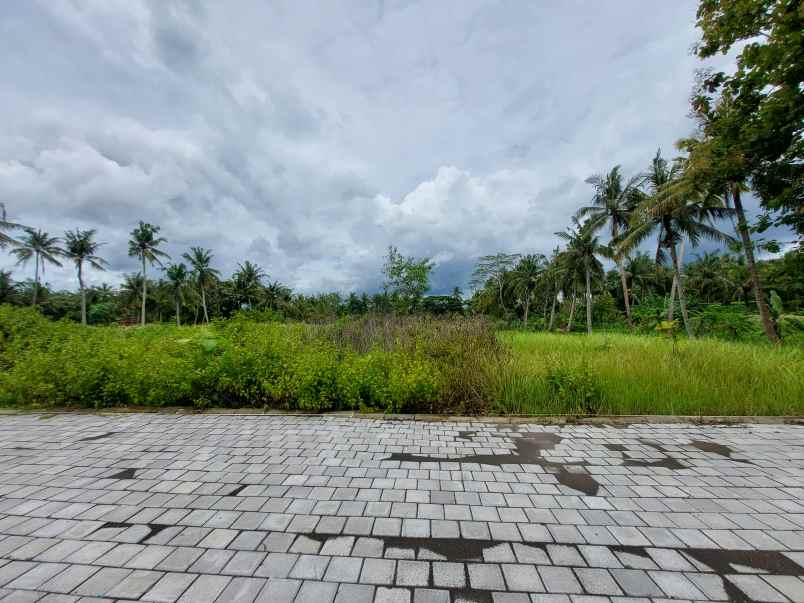 tanah murah kulonprogo dijual cepat harga 130 jt