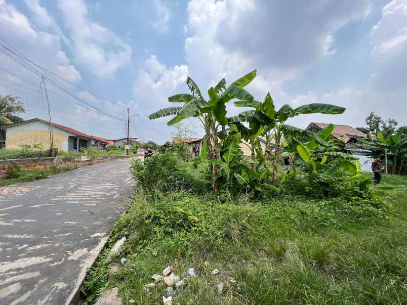 tanah murah lokasi pakjo