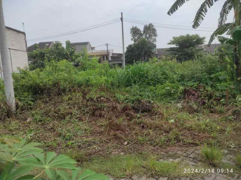 tanah murah siap bangun anggaswangi sukodono sidoarjo