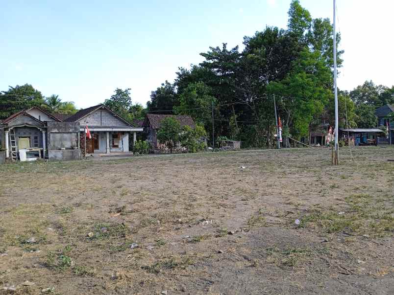 tanah pekarangan murah utara kalurahan selomartani