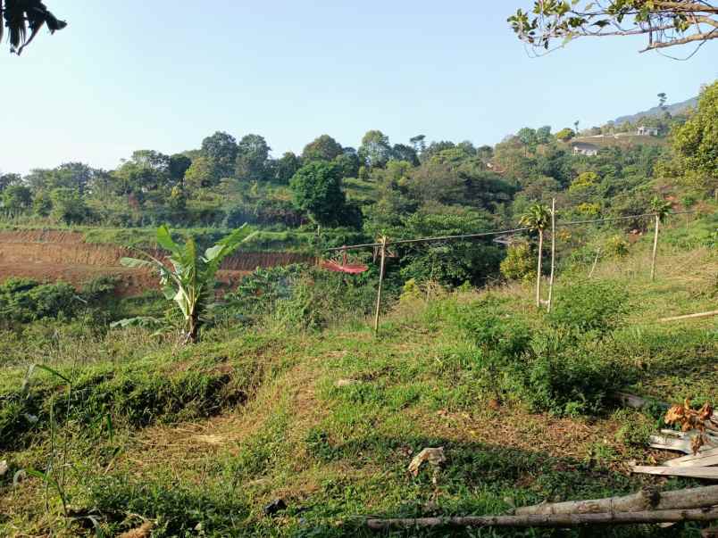 tanah tajur halang cijeruk