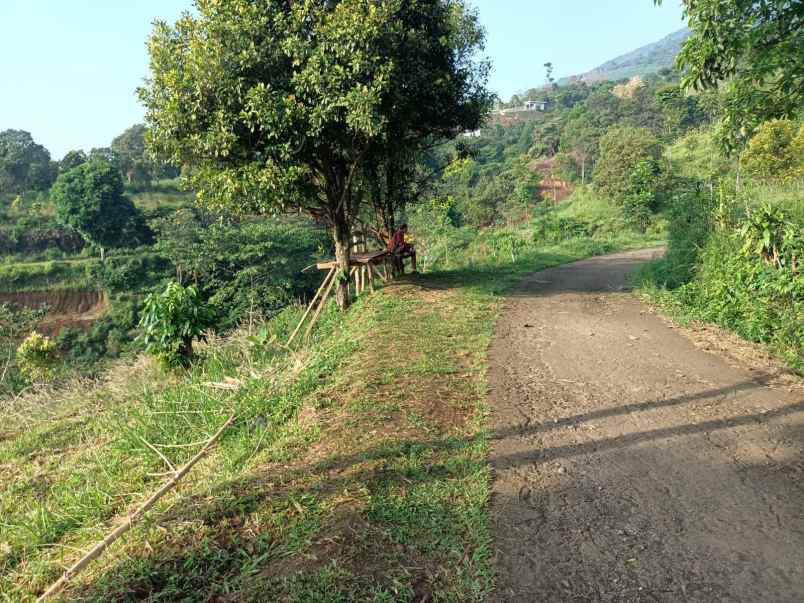 tanah tajur halang cijeruk