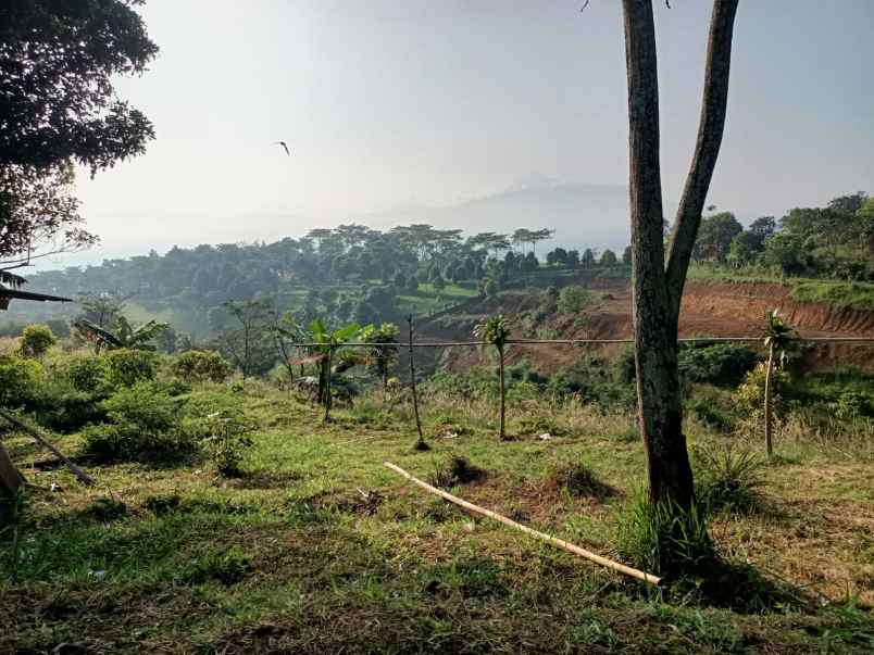 tanah tajur halang cijeruk