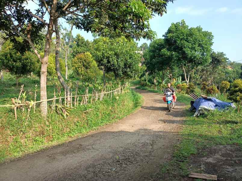 tanah tajur halang cijeruk