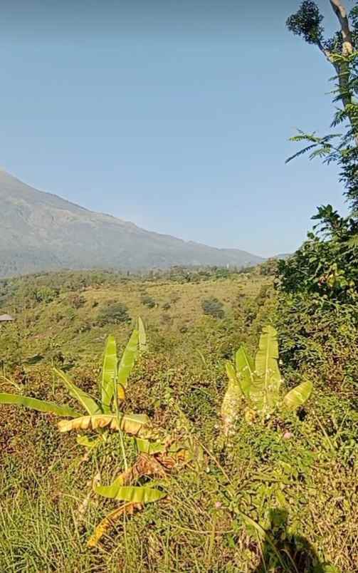 tanah view gunung nol jln aspal