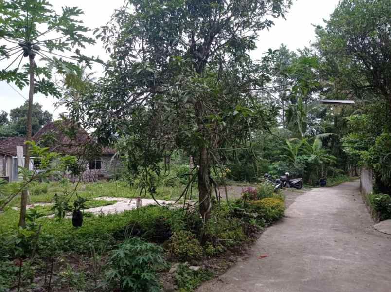 di jual tanah shm pekarangan di sleman