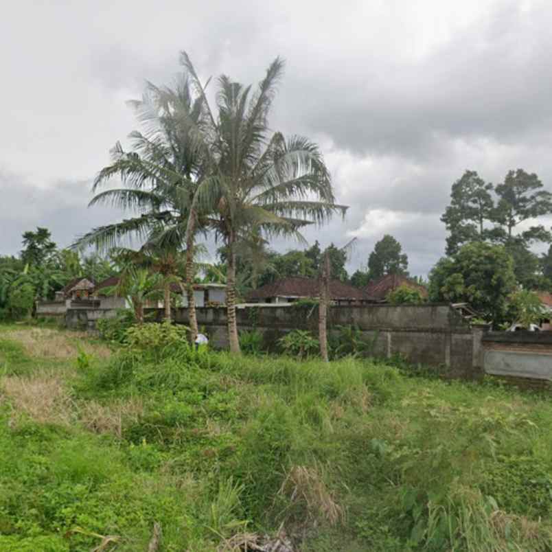 dijual 12 are jl margi setra gerih abiansemal badung