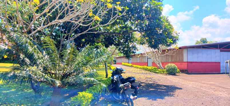 dijual gudang di negara jembrana bali