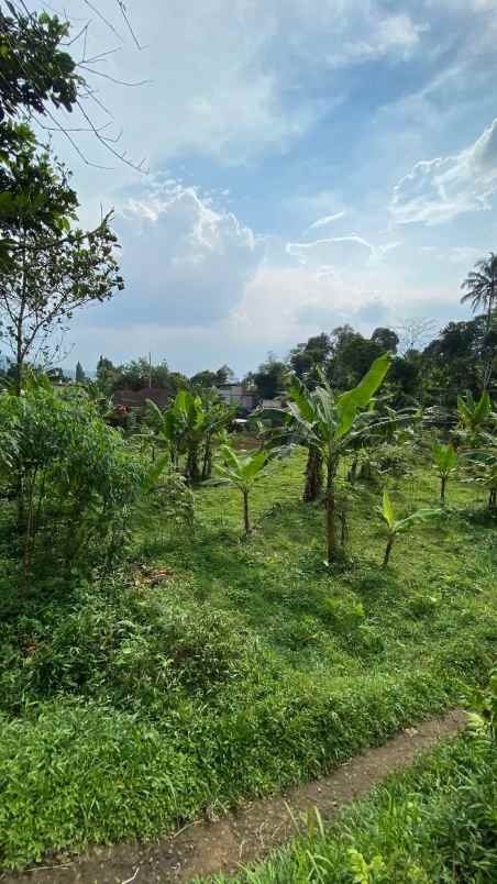 dijual lahan tanah kosong di mega mendung