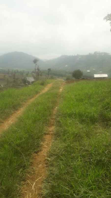 dijual murah lahan cijapati cikancung kab bandung